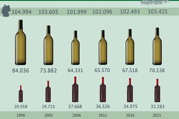 Infografik zum Weinanbau in Deutschland (in Hektar)