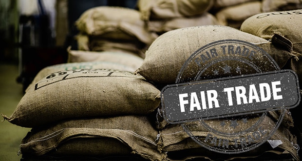 Die Geschichte von Bio, Fairtrade & Co. – nachhaltiger Kaffee - eine Meinung von Dr. Steffen Schwarz von Coffee Consulate. (Quelle: Canyon Twin & Aquir – stock.adobe.com)