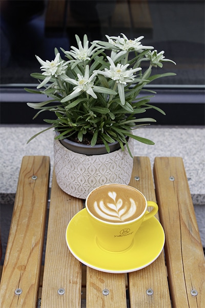 Der Kaffee wird von dem geschickten Barista mit Latte Art-Motiven serviert.