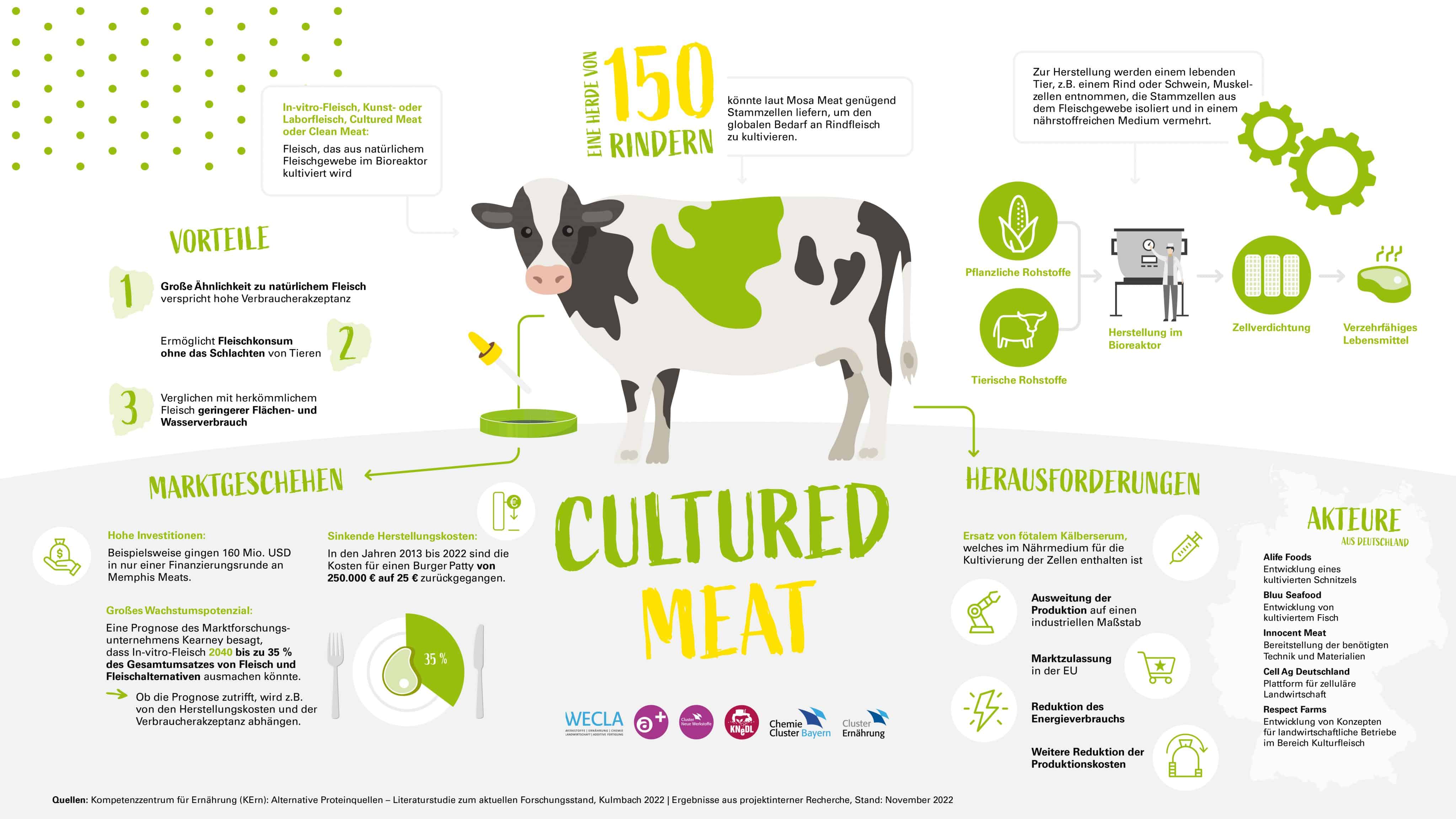Die Infografik verdeutlicht Vorteile von Cultured Meat sowie Herausforderungen und nennt relevante Akteure aus Deutschland.