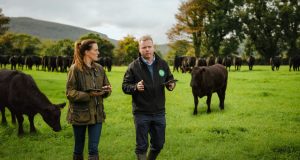 Ergebnis des „Export Performance and Prospects 2023/24“ von Bord Bia: Die irischen Exporte von Lebensmitteln und Getränken übersteigen die 16-Milliarden-Euro-Marke.