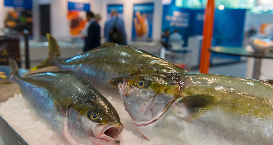 Deutschlands einzige Fischmesse, die FIsh International, findet vom 25. bis 27. Februar in Bremen statt.