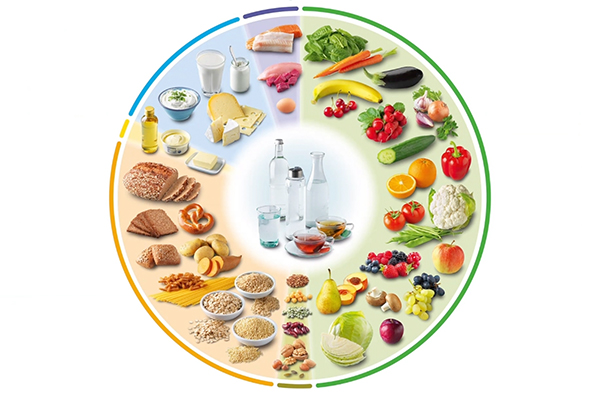 Der neue Ernährungskreis basierend auf den neuen lebensmittelbezogenen Ernährungsempfehlungen der DGE.