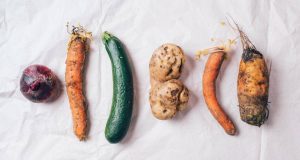 Trendradar für kommende Gastrotrend um sich von Corona zu erholen