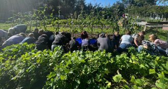 Die Theodor Heuss Schule ist mit ihrem Projekt Theos Wiese als Sieger beim Wettbewerb BIObegeistert von Byodo Naturkost hervorgegangen.