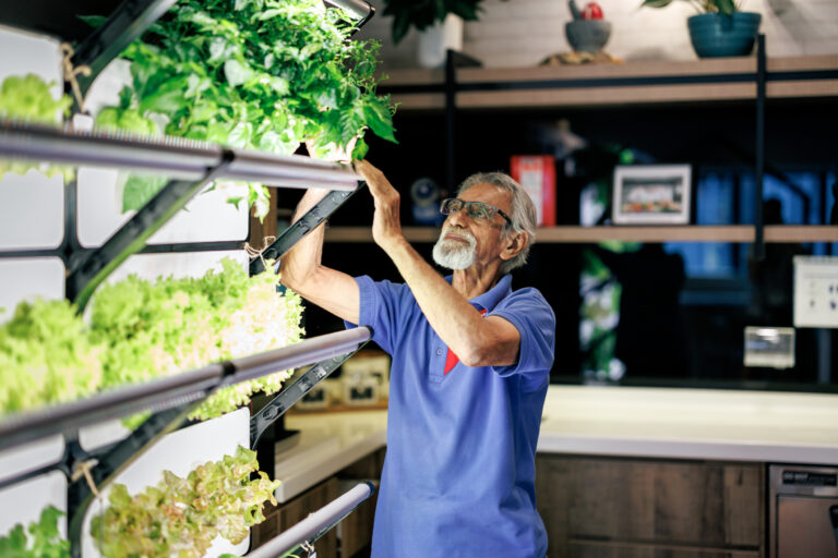 Sodexo hat mit Together we care ein Nachhaltigkeits-Toolkit entwickelt