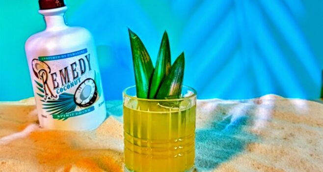 Remedy Coconut Summer Edition