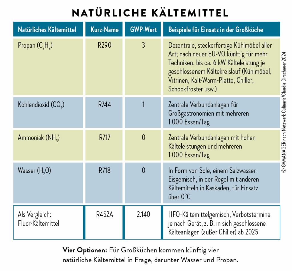 Überblick über die für Großküchen relevanten natürlichen Kältemittel und deren GWP-Wert sowie Einsatzbeispiele