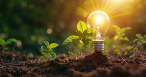 Chefs Value unterstützt Betriebe auf ihrem Weg zu mehr Nachhaltigkeit – mit digitalen Tools, praxisnaher Beratung und gezielter Qualifizierung.