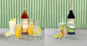 Bio-Sirupe Seeberger Professional