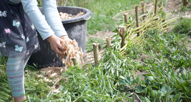 Byodo hat die Preisträger des Wettbewerbs BIObegeistert mit Fördergeldern belohnt.