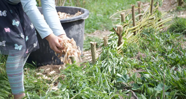 Byodo hat die Preisträger des Wettbewerbs BIObegeistert mit Fördergeldern belohnt.