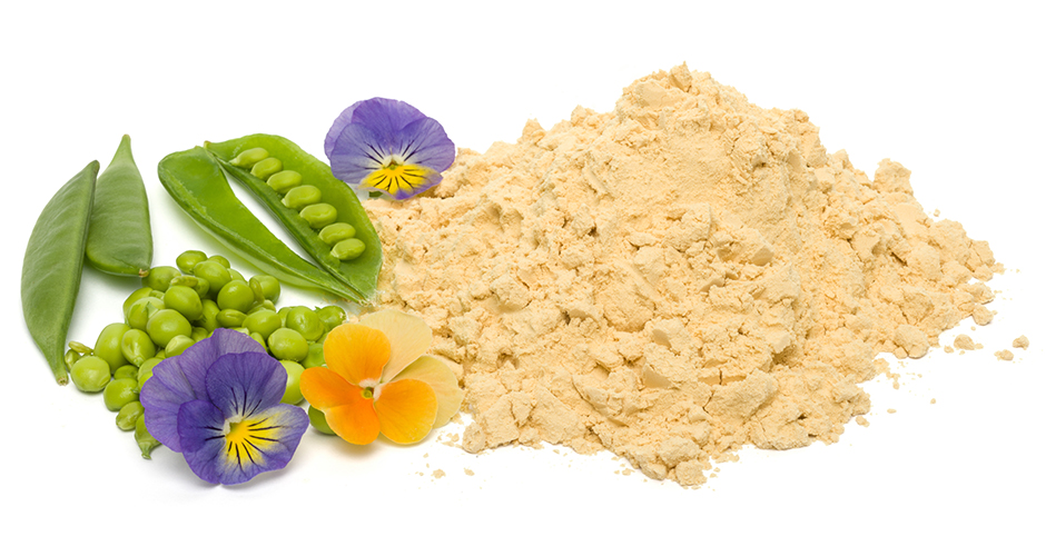 Hydrolysate aus Erbsenprotein, wie in Fleischersatzprodukten, können die Sättigung beeinflussen