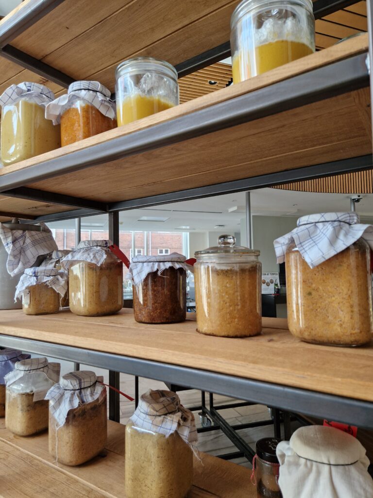 Blick ins Fermentationslabor der Hotelschule Kopenhagen