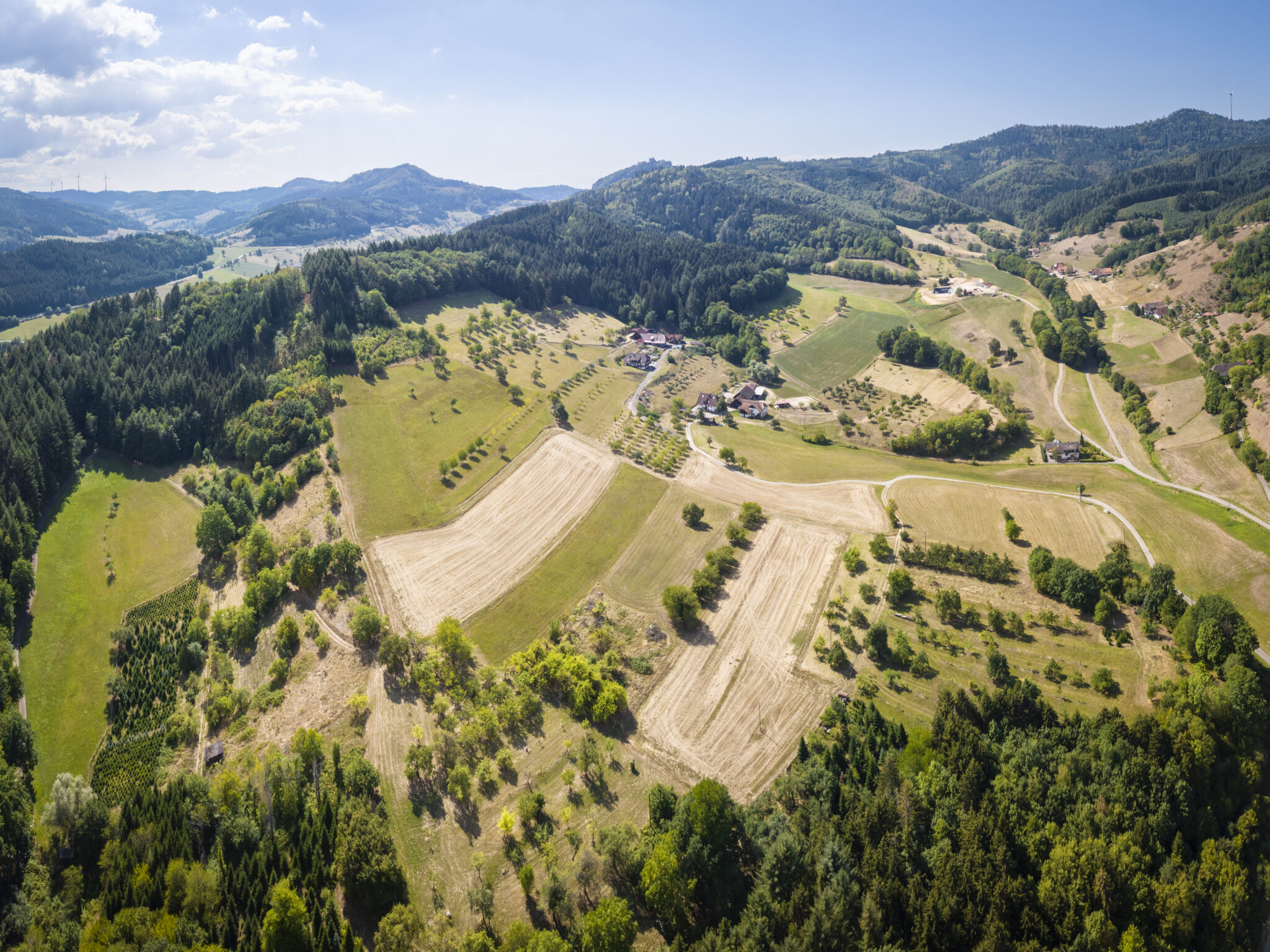 Höfe bei Biberach im Kinzigtal