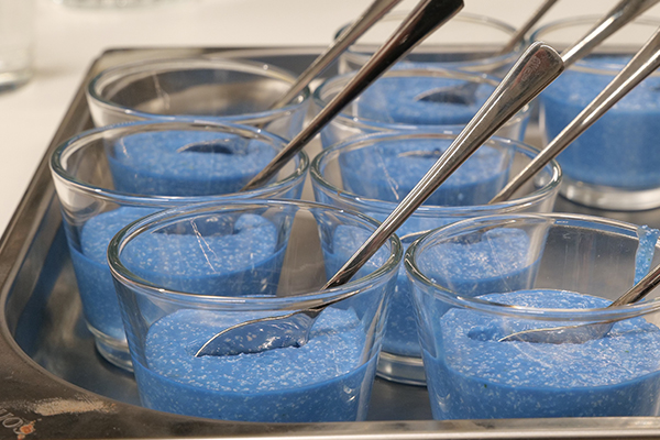 Vegane Kokos Panna cotta mit Spirulina