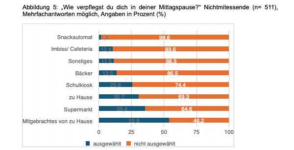 Masterarbeit Schulessen: Wie verpflegen sich Jugendliche in der Mittagspause?
