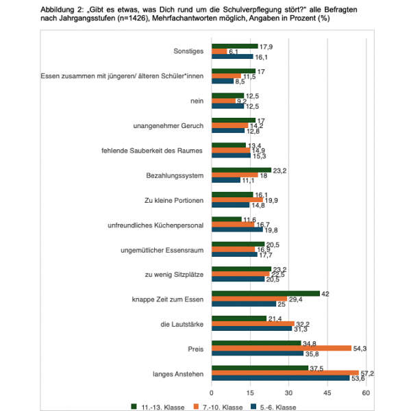 Masterarbeit Schulessen: Was stört Jugendliche am Schulessen?