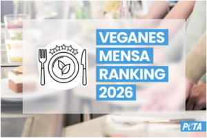 Das Peta-Mensa-Ranking hat die vegan-freundlichsten Mensen 2026 gekürt.
