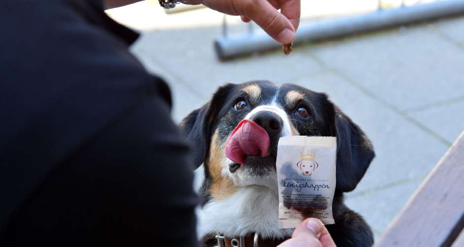 Königshappen Hund